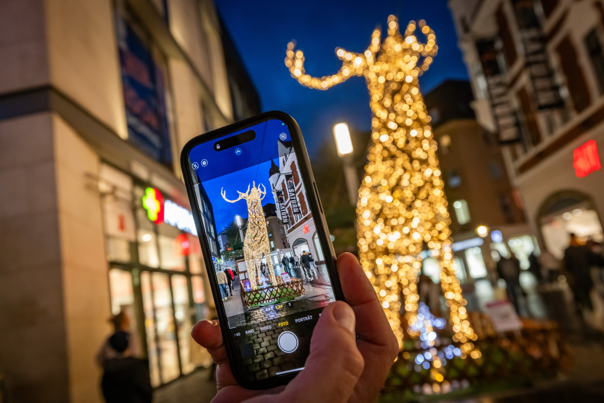 © Bielefeld Marketing | Sarah Jonek Lichttiere Bielefeld