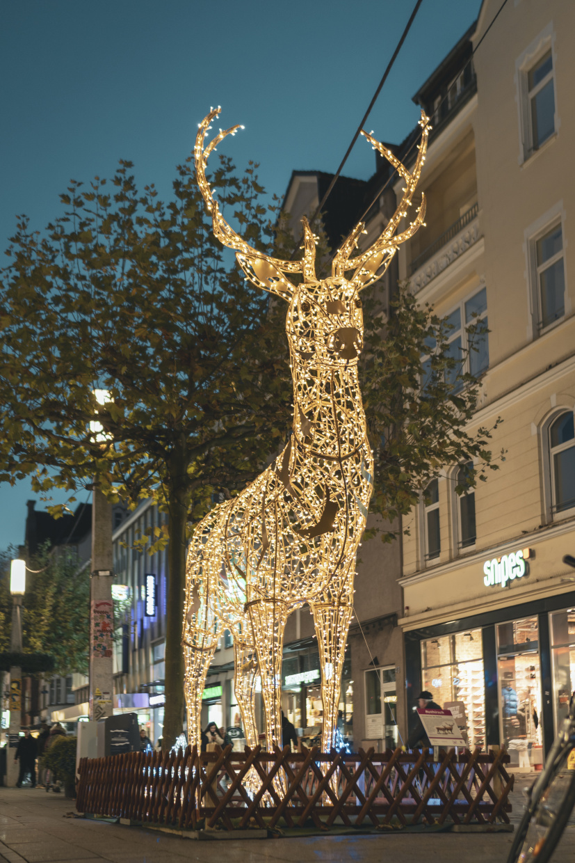 © Bielefeld Marketing GmbH | A. Stein
