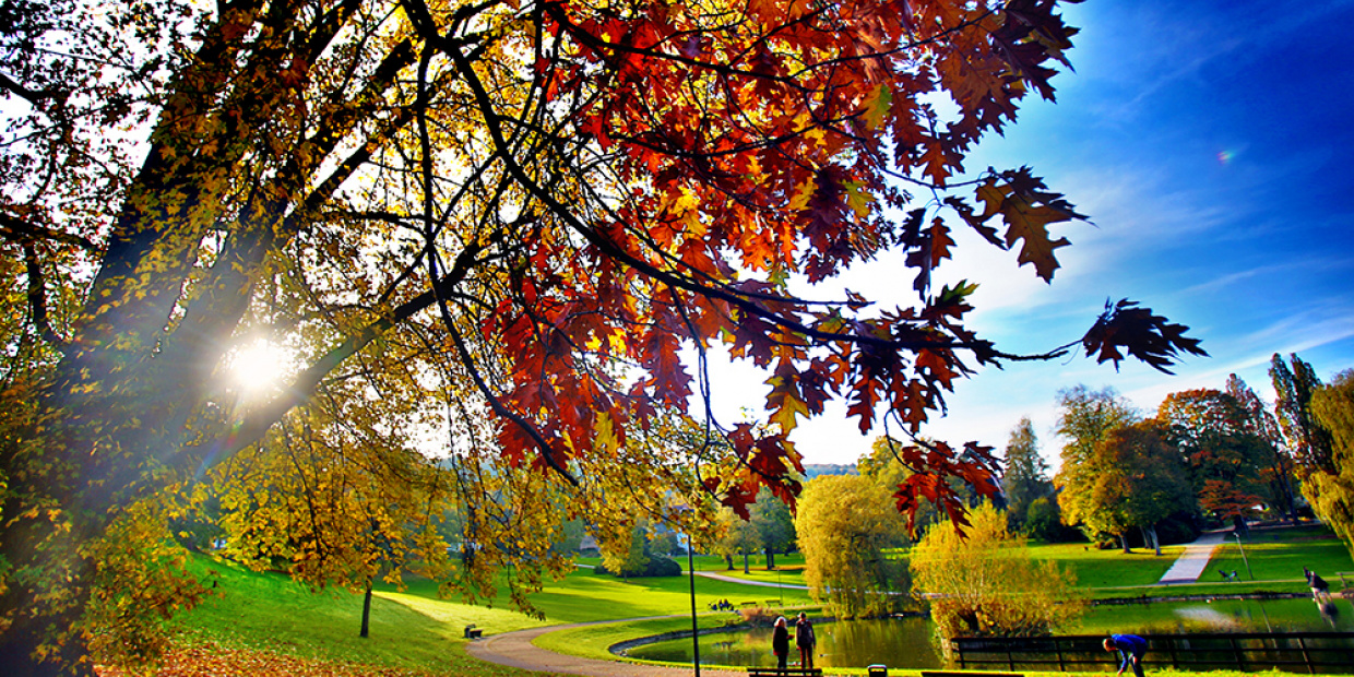 Indian Summer im Bürgerpark [Foto: Sarah Jonek]