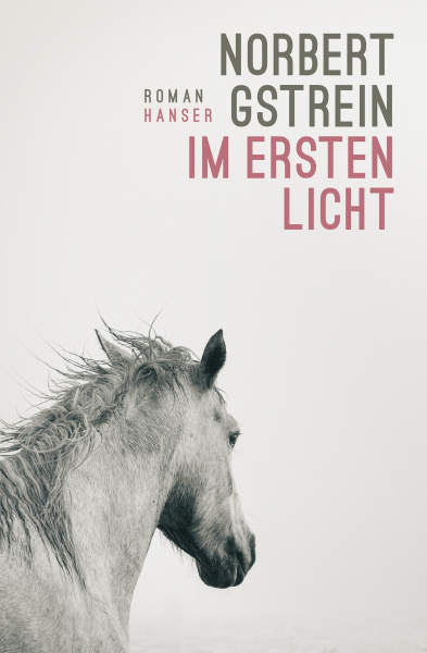 Buchcover "Im ersten Licht"