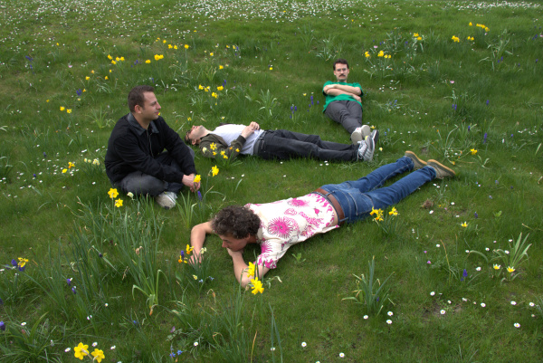  grünen Wiese mit Blüten.