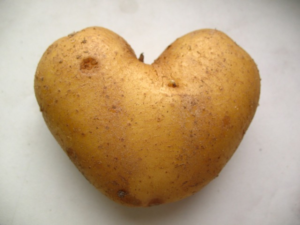 Kartoffelkönig