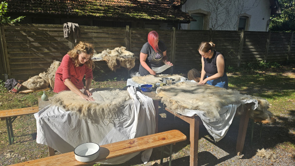 Rohwollfilzworkshop 2025